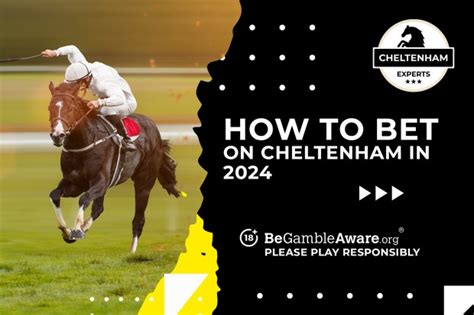 How to bet on Cheltenham 2024: Best in